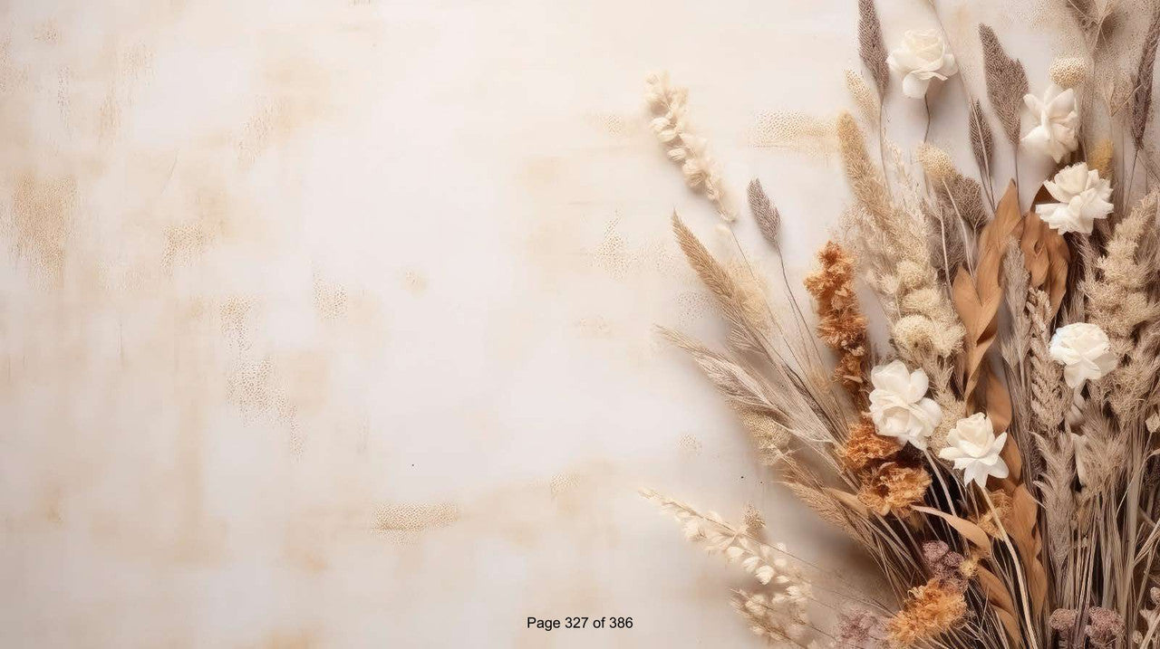 Adorable Baby Photoshoot Backdrops: Ideal for Creating Picture-Perfect Memories