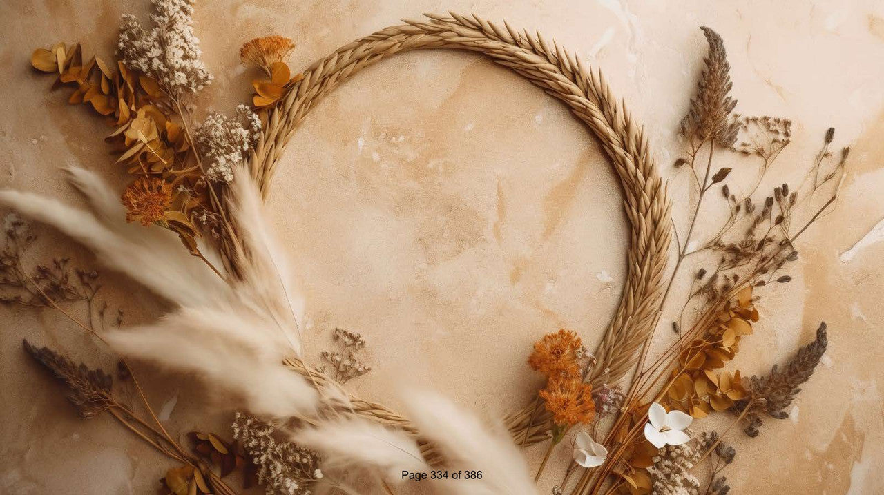 Adorable Baby Photoshoot Backdrops: Ideal for Creating Picture-Perfect Memories