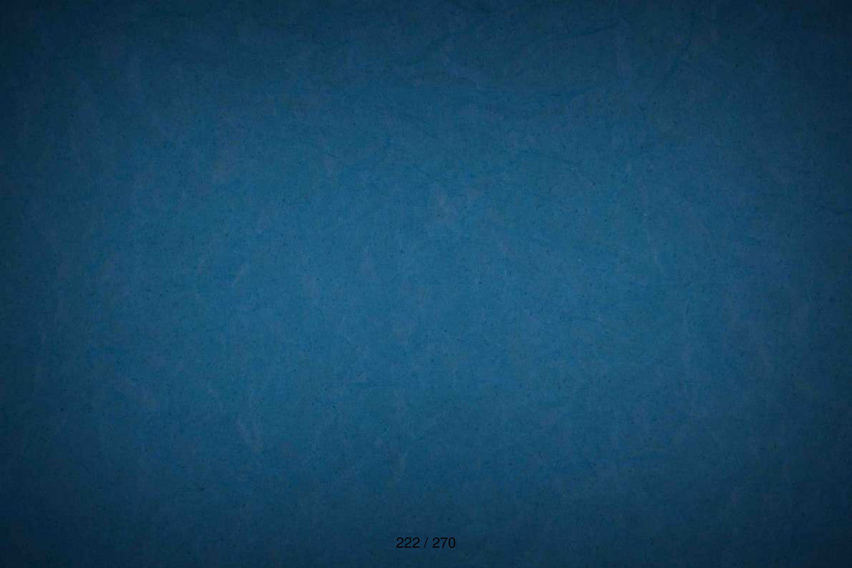 Adorable Baby Photoshoot Backdrops: Ideal for Creating Picture-Perfect Memories