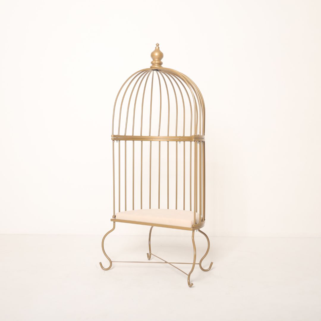 Metal cage prop for toddler baby photoshoot with elegant design, perfect for milestone and themed photography sessions.