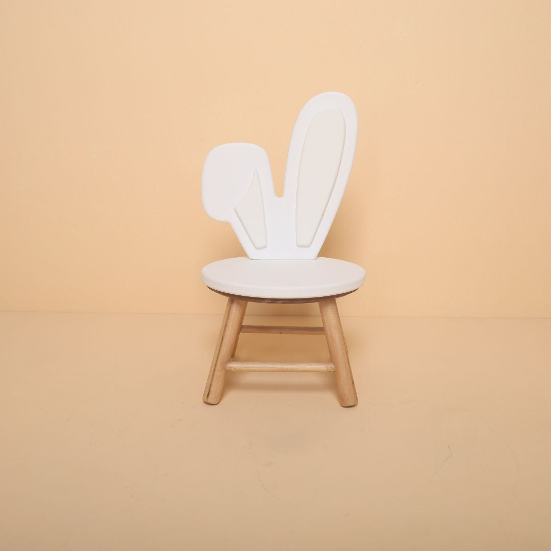 Multi-theme baby photoshoot chair prop – Daisy, Butterfly, Strawberry, Carrot and Bunny design for professional photographers