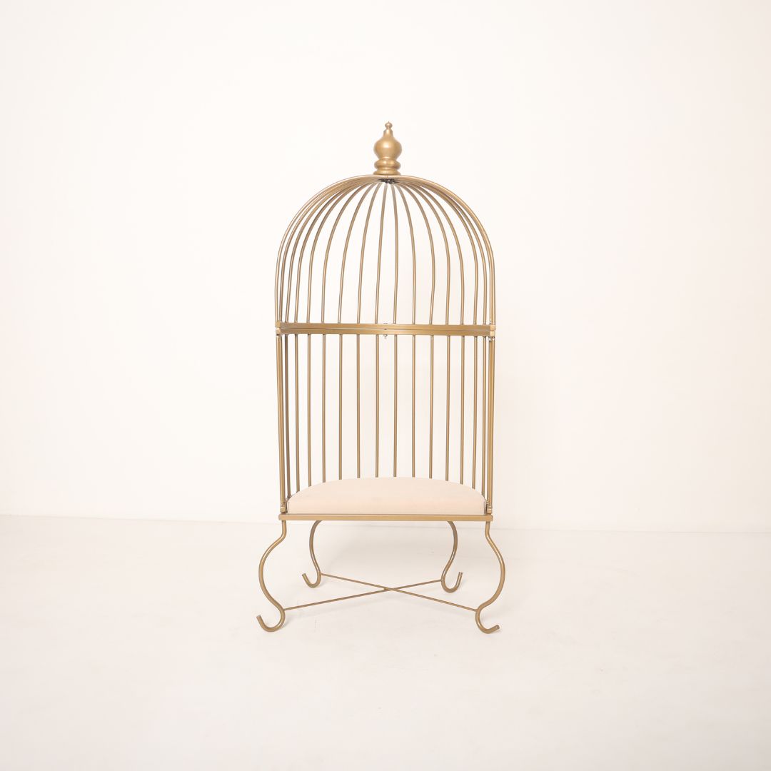 Metal cage prop for toddler baby photoshoot with elegant design, perfect for milestone and themed photography sessions.