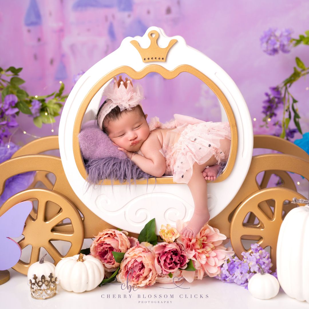 Baby Photoshoot Prop Princess Carriage | Newborn Baby Prop