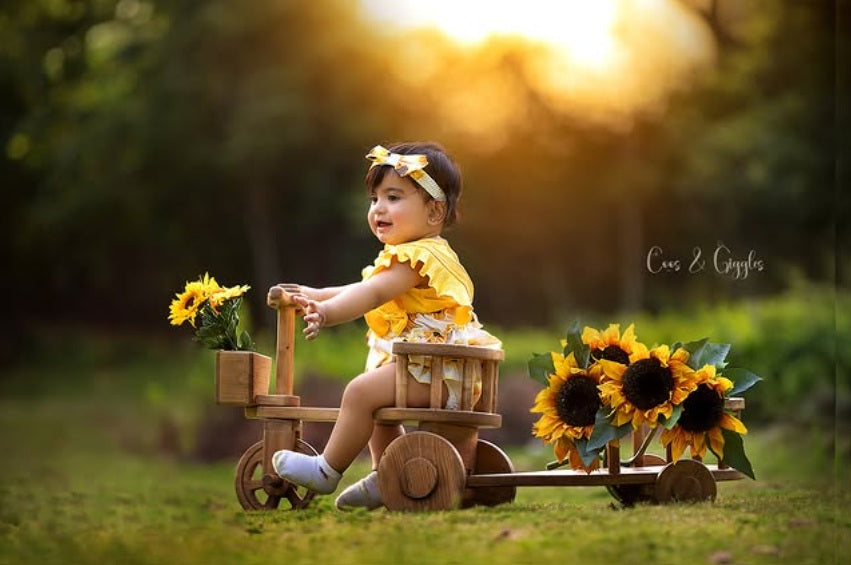 Creative cycle baby prop with trolley for professional baby photography