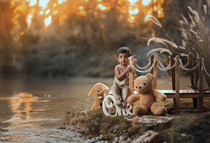 Baby sitting on a wooden deck baby prop by the riverside with teddy bears for a milestone photoshoot
