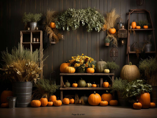 Adorable Baby Photoshoot Backdrops: Ideal for Creating Picture-Perfect Memories