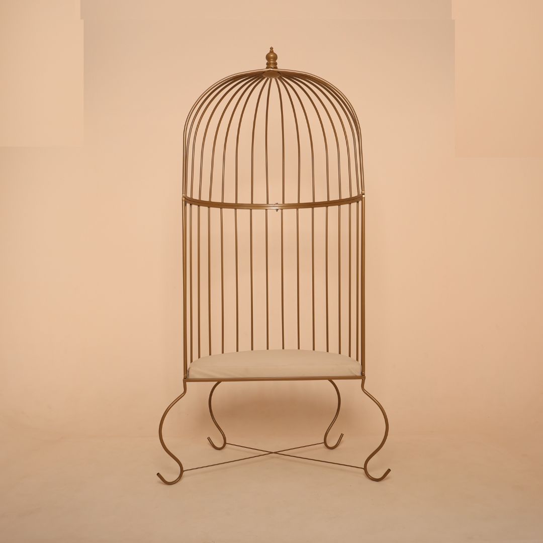 Maternity cage prop for photoshoots and studio decor, elegant metal prop for creative maternity portraits