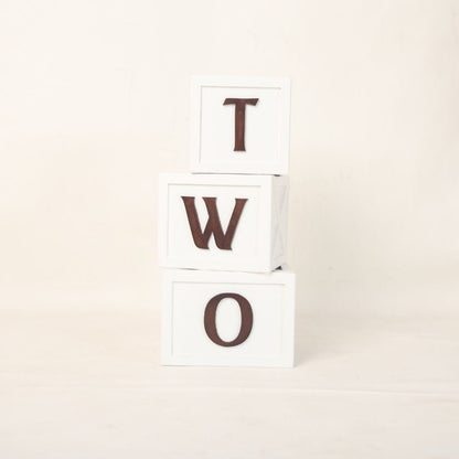 "One" & "Two" Milestone Boxes Baby Photoshoot Prop: A set of elegant "One" & "Two" milestone boxes, beautifully designed for baby photoshoots, displayed in a birthday-themed setup, adding charm and style to the scene.