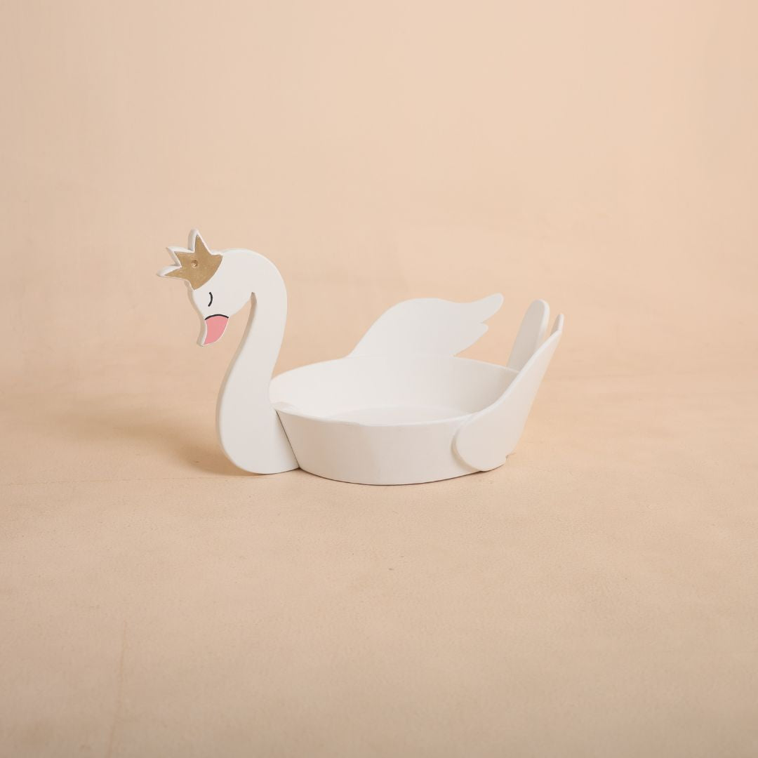 Professional newborn photography setup featuring a swan baby prop with a peacefully posed newborn baby.