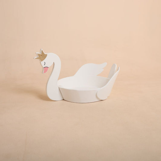 Professional newborn photography setup featuring a swan baby prop with a peacefully posed newborn baby.